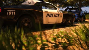 Fate and Life: The Mystery of Vaulinhorn